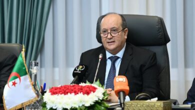 الوزير الأول الجزائري: "الجزائر والنيجر تشدّدان على تعزيز التعاون في مجالات الطاقة والأمن والبنية التحتية"