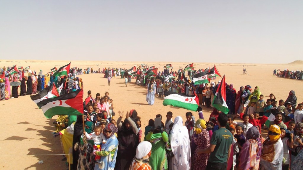 حقوقيون صحراويون يدقون ناقوس الخطر إزاء الوضع السائد في الصحراء الغربية
