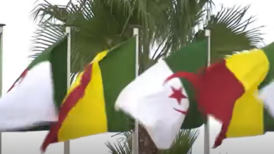 ديناميكية جديدة في العلاقات بين الجزائر ومالي