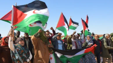 مطالب بعدم اختزال القضية الصحراوية في نزاع سياسي أو إقليمي