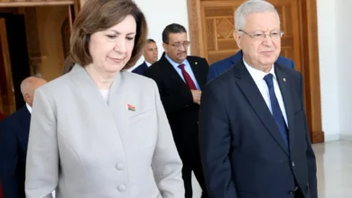رئيسة مجلس جمهورية بيلاروسيا تشرع في زيارة إلى الجزائر