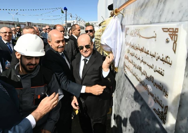 الوزير الأول الجزائري يدشن وحدة لإنتاج مكونات السيارات بتيسمسيلت
