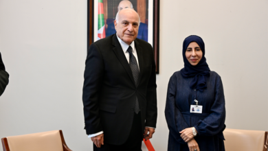 لقاء وزير الخارجية الجزائري ونظيرته اليمنية