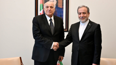 لقاء وزير الخارجية الجزائري ونظيره الإيراني