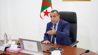 وزير الطاقة والطاقات المتجددة الجزائري مراد عجال