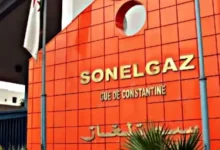 من النيجر إلى تشاد.. "سونلغاز" تقود الشركات الجزائرية لولوج الأسواق الإفريقية للكهرباء