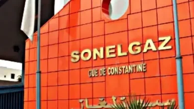 من النيجر إلى تشاد.. "سونلغاز" تقود الشركات الجزائرية لولوج الأسواق الإفريقية للكهرباء