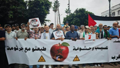 Maroc colère Makhzen culture normalisation entité sioniste