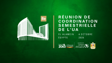 UA Réunion coordination intégration continentale Egypte