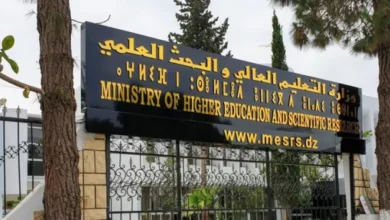 وزارة التعليم العالي والبحث العلمي الجزائرية