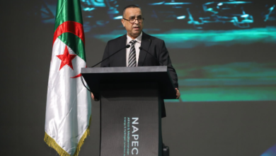 وزير الطاقة والطاقات المتجددة الجزائري مراد عجال